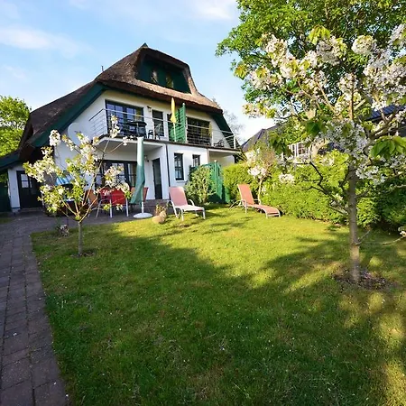 Eck-reethaus-sturmhaube Groß Zicker